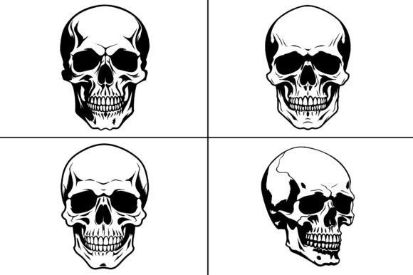 Download Skull Skeleton Head Silhouette - Skeleton Collection